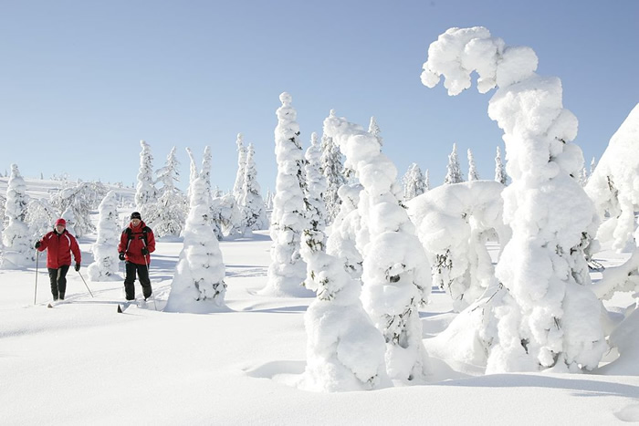 Parc national du Riisitunturi Finlande Europe